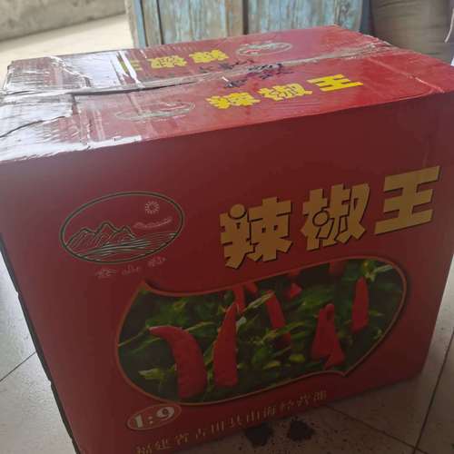 [Extra spicy chili flakes] Wholesale thick chili flakes, high spicy 500g, and dry chili king segments and pure red chili powder