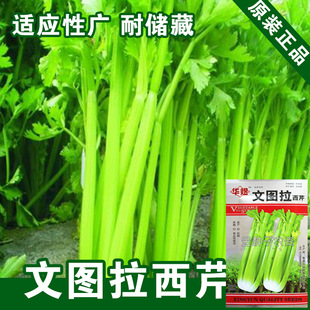 ���۷N���۲˷N���۲����߲˷N�����l�˷N���Ѳ˷N�ӹ�˾�ļ����N