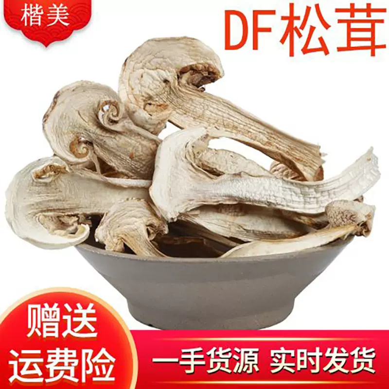 云南楷美FD冻干松茸菌菇干货冻干食用菌松茸干片500g大货批发山珍