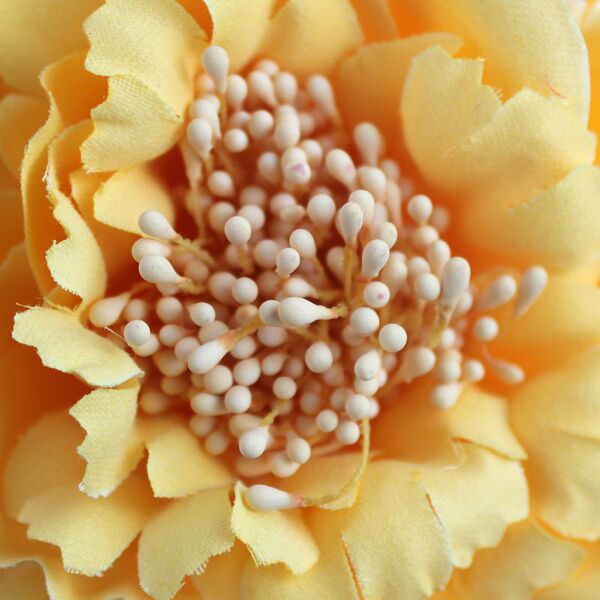 Hair accessory for bride