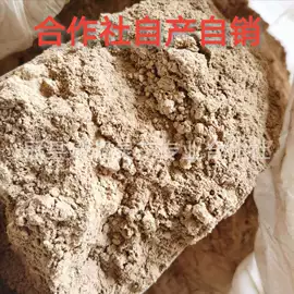 灵芝;盆景;其他农业