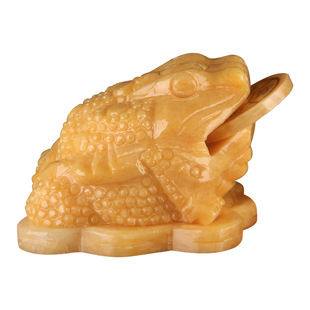 �[�����l  ���S��������[�� �_�I�ͶY�Ҿ��k�����S��[�