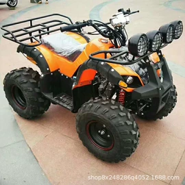 沙滩车;汽摩制造;其他摩托车