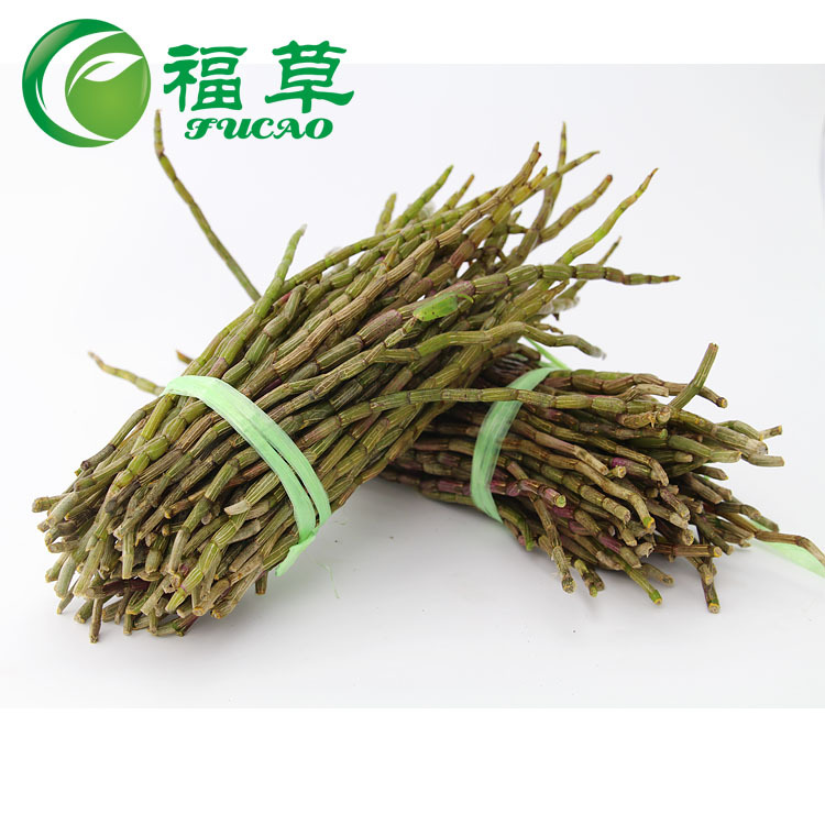 【福草铁皮石斛】新鲜石斛 铁皮石斛鲜条 厂家直供