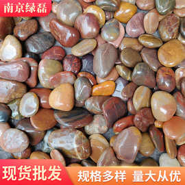 红色抛光鹅卵石厂家直销天然红石子园林景观路面造景铺路装饰石料