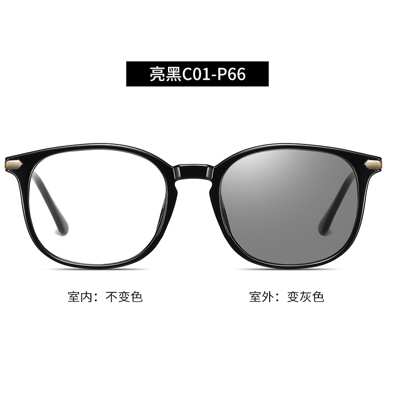 C1-P66 negro brillante