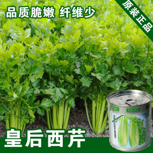 �ʺ����۷N���۲����߲˷N�����l�˷N�ӹ�˾�˷N�����ļ���