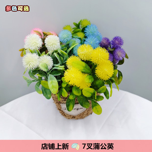 ��ɫ���滨���� 7���ѹ�Ӣ���ϼٻ� ˮ�ݰѻ�ֲ����