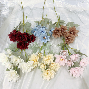 ����6�^Ұ˯ɏ ������������ș��c��Y���bҾ��b羳������