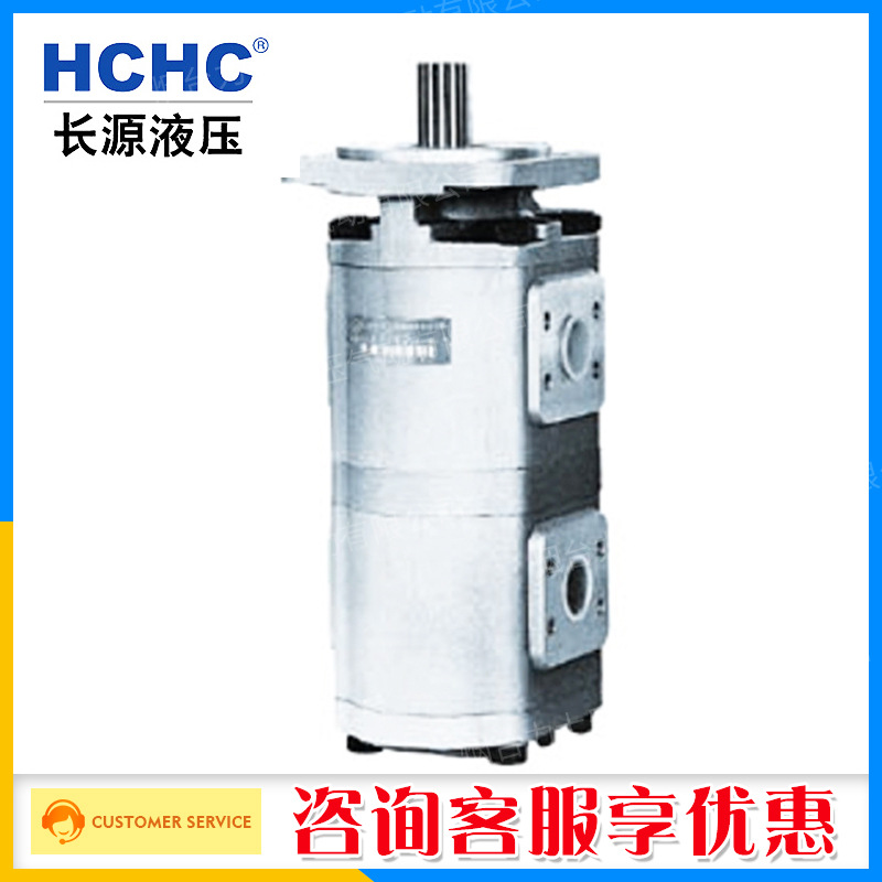 合肥长源HCHC双联齿轮泵油泵CBG2040/2040高压泵