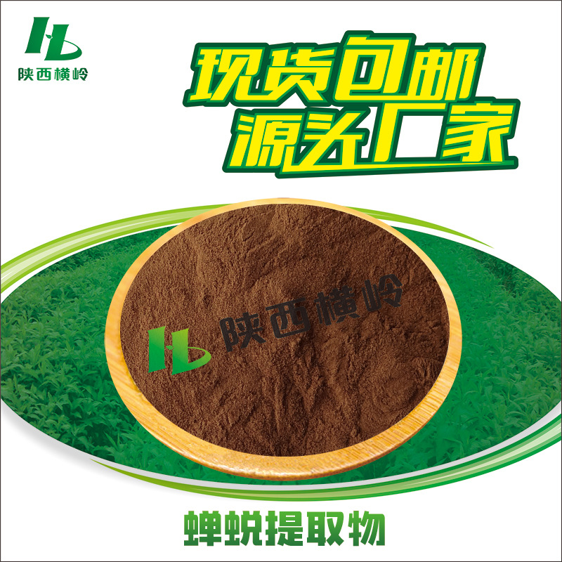 蝉蜕提取物 蝉蜕粉 50:1高比例提取 蝉衣/知了皮提取物 1KG起订
