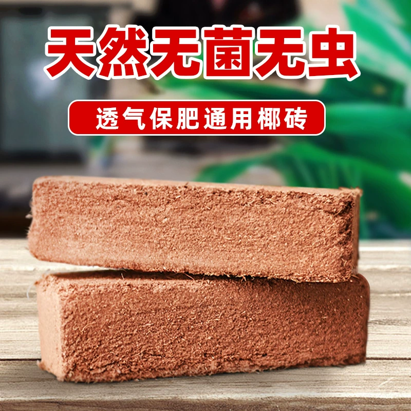 Кокосовый кирпич кокосовый кокосовый кокосовый отруби с низким содержанием соли, лазая, подкладка для растений на балконе