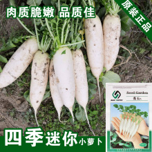 С}NС}ˮ}}N߲˷Nl˷N