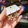 Silver needle, earrings, advanced accessory, silver 925 sample, cat's eye, flowered, high-quality style, wholesale