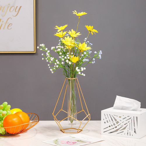 Nordic ins iron geometric transparent glass decorative vase home desktop dry flower plant flower vase ornaments