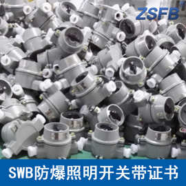 SWB-10A220V防爆照明开关铝合金ExdeIIBT6IP65防爆灯具开关带证书