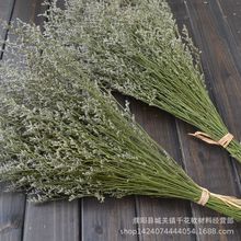 ɻ ˲ݻ廨ˇջc廨ˇĔz