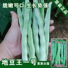 �ض��N�Ӷ��ǷN�Ӷ�����ܿ���N�ӟo��N���߲˷N�����l�˷N����