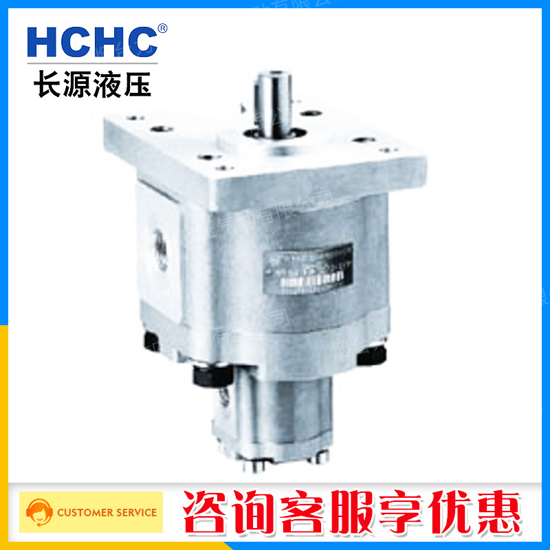 合肥长源CBQW-F520/E204CLP双联齿轮油泵