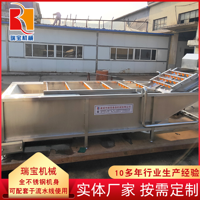 小龙虾清洗机 气泡喷淋多功能清洗机厂家直供 现货供售