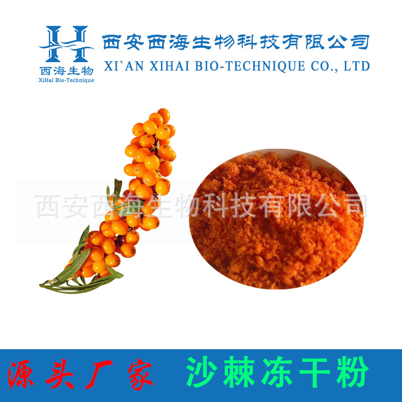 沙棘冻干粉 99% 沙棘全果冻干粉 冷冻干燥 大果沙棘含VC厂家直供