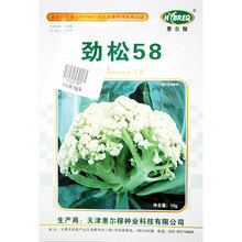 75˷Nӄ58˻NӷNݻ Ҭ ＾ɻ