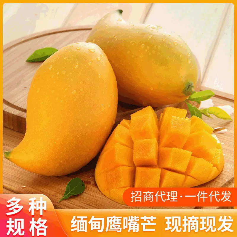 缅甸鹰嘴芒鲜现摘9斤装芒果当季水果农产品云南缅甸厂家一件代发