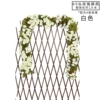 69 rose white 1 piece