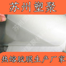 PA۽Ĥˮϴ͸ϴ۽Ĥ PA hot melt adhesive film