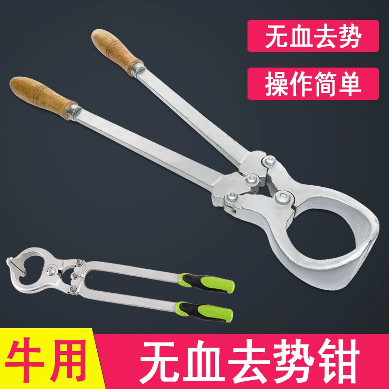 Бескровная кастрация скот