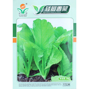 ���˷N��С�ײ˽����˷N���ļ��ͺ��͟�˷N�����ѷN�߲��ݲ���