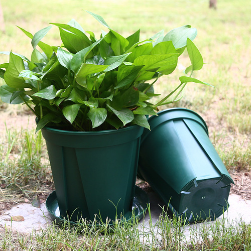 Yonglu thickened white green Qingshan pot root control pot manufacturer wholesale rose pothos plastic flower pot gallon round
