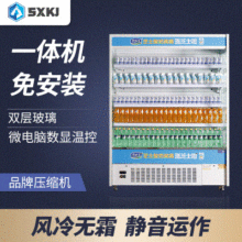 便利店风幕柜酸奶乳品柜风冷冷藏柜展示柜立式水果乳制品保鲜柜