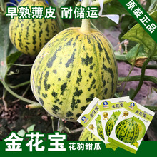 ��������������� ��Ƥ�߲�������ֹ����� �����߲���������