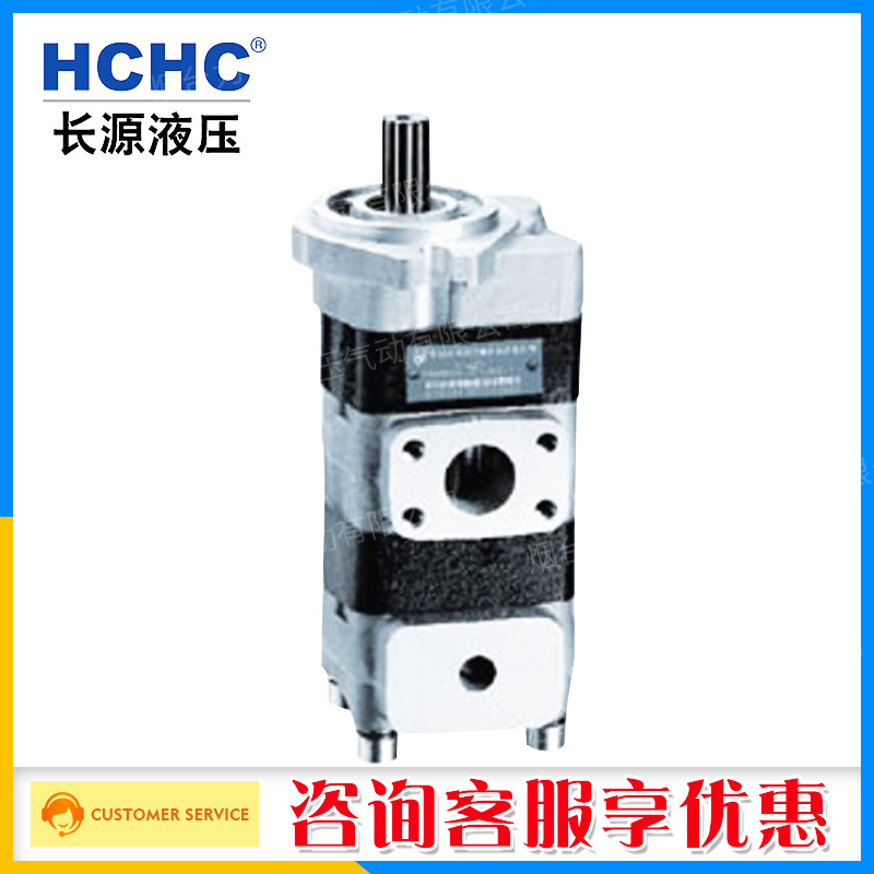正品原装HCHC合肥长源CBKL-G/G齿轮泵油泵