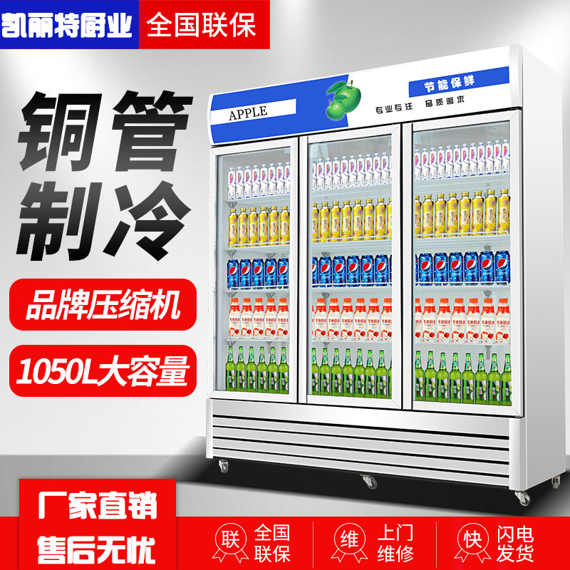 饮料展示柜啤酒柜商用冷藏冰柜双开门冷饮柜单门冷藏立式保鲜柜