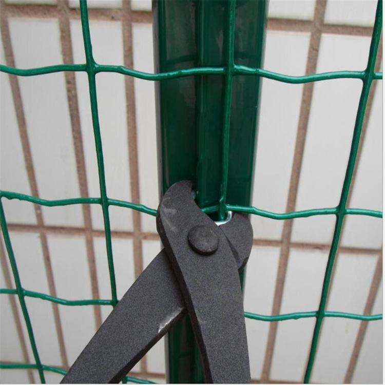 亿阔厂家 果园圈地防安全防跨越养殖荷兰网 浸塑绿色铁丝荷兰网