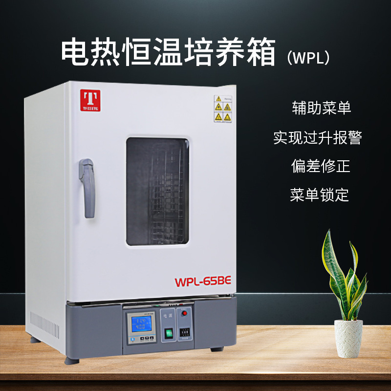 Electric Thermostatic Incubator Tianjin Test Wpl-30B/Wpl125B/Wpl230Be Yirui Technology