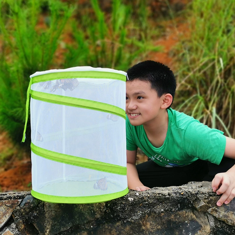 Производители производят и продают взрывы Амазонки, чтобы поднять все виды клеток насекомых, клетки бабочки, клетки наблюдения, культивирования экспериментальных клеток