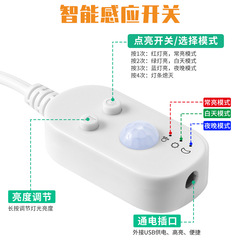 Factory Direct Waterproof LED Strip USB Human Sensor LED Strip TV Background Cabinet Decor LED Strip