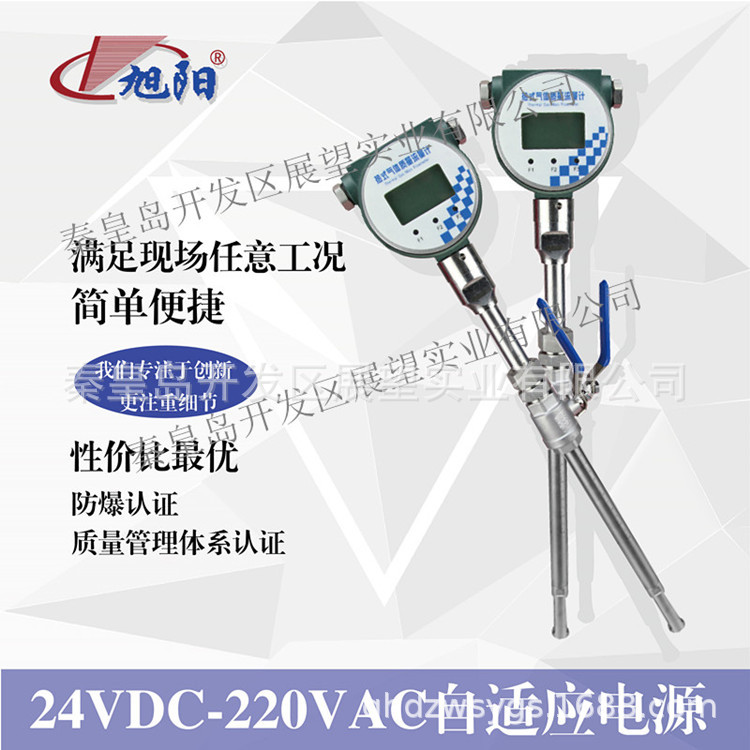 金湖热式气体质量流量计山东热式威海厂家现货大流量