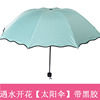 Small handheld umbrella for beloved