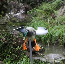 �羳�������D�L�����������D��C�T�D�L���ֹ����ӹ�