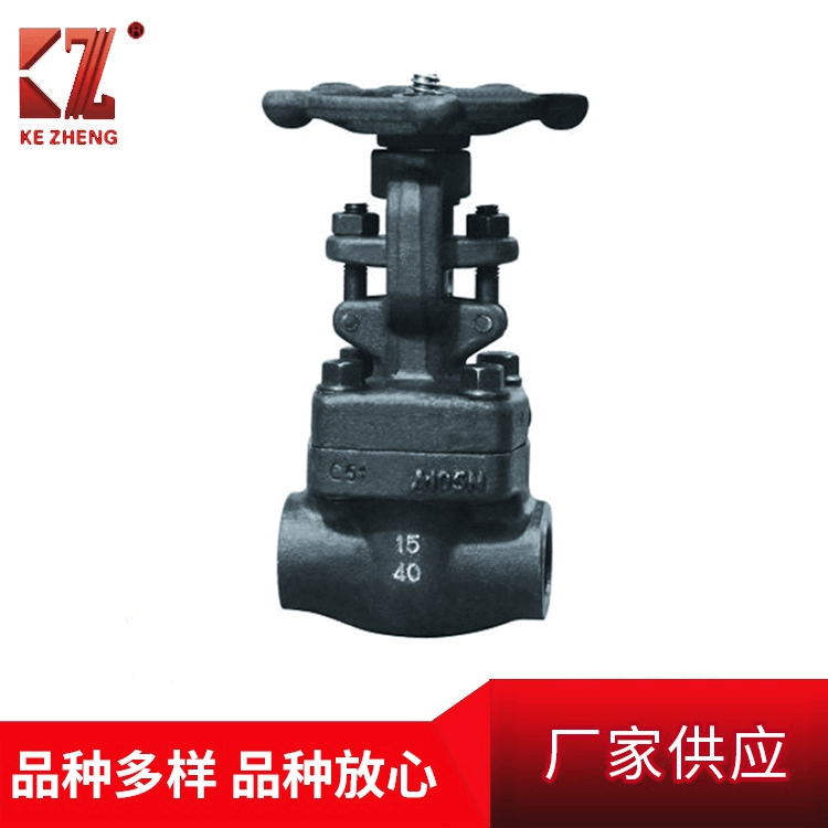 浙江厂家直供　锻钢阀门 内螺纹闸阀 不锈钢阀门