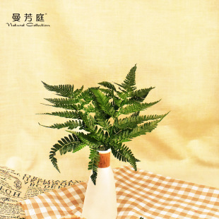 Preserved Flowers, Eternal Flowers, Flower Arrangements, Accessories, Floral Arrangements, Fern Leaves, Dried Flowers, Bouquets, Wedding Decorations, Dried Flower Arrangements