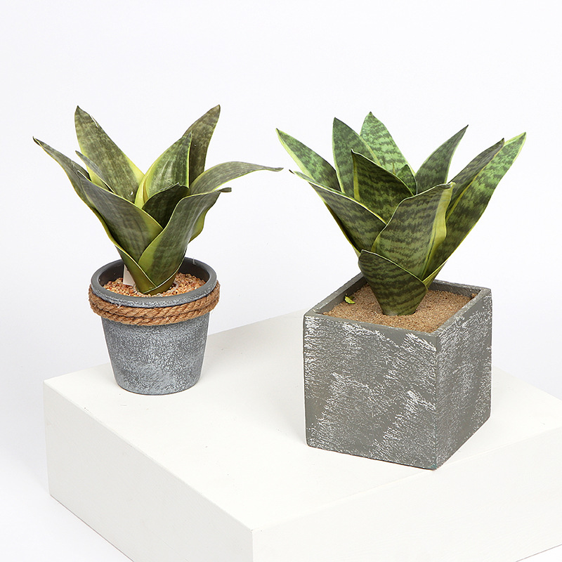 Realistic photography props for living room