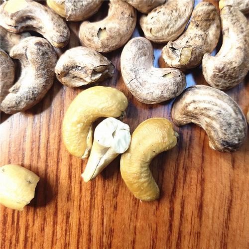 Nut Snack Manufacturer, Peeled Tiger Peanuts with Skin, Weight 250g Canned, 500g Bagged