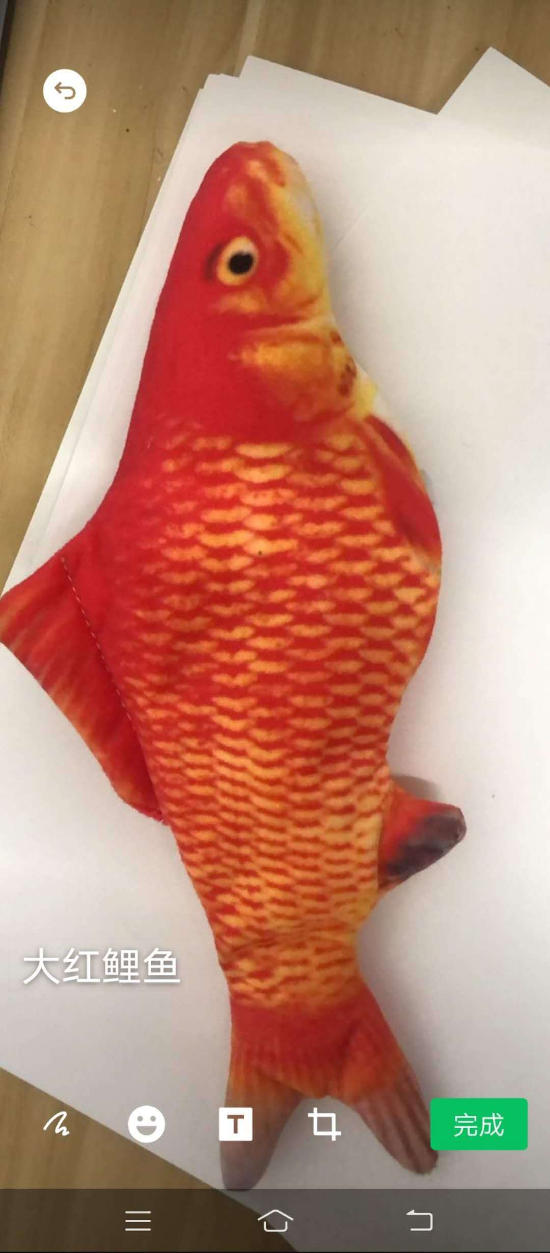 Modelo de carga de carpa roja.