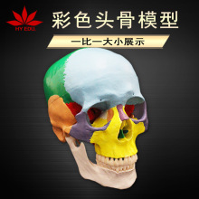 �^��ģ��1:1��ɫ�^�B��ģ�����t�^ģ�Ϳɲ�ж��ǻģ���^��ģ��