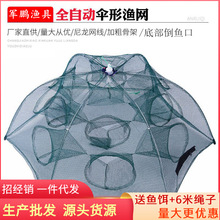 �����~�W ��W�~�W ���~�\ �Ԅӂ�W �A�ΰ�W �~�W